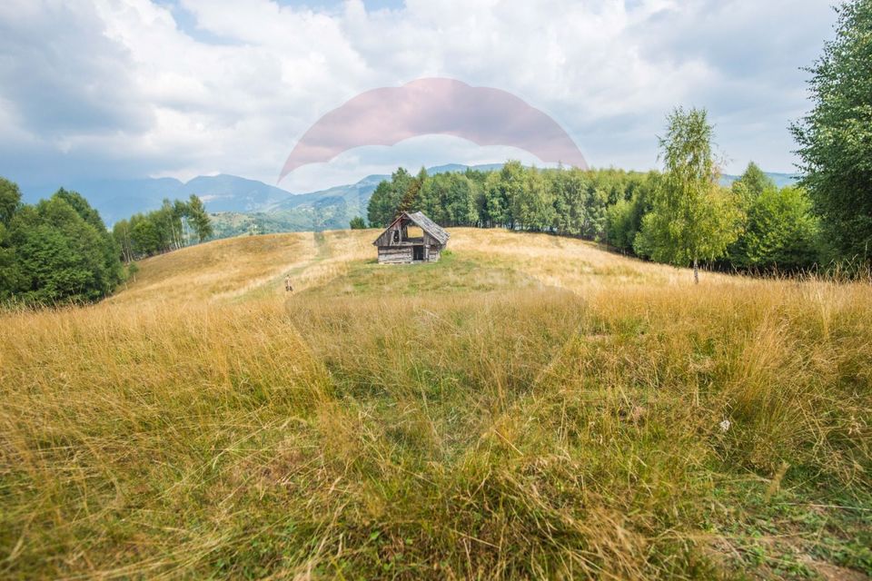 Teren extravilan Moieciu 45316mp