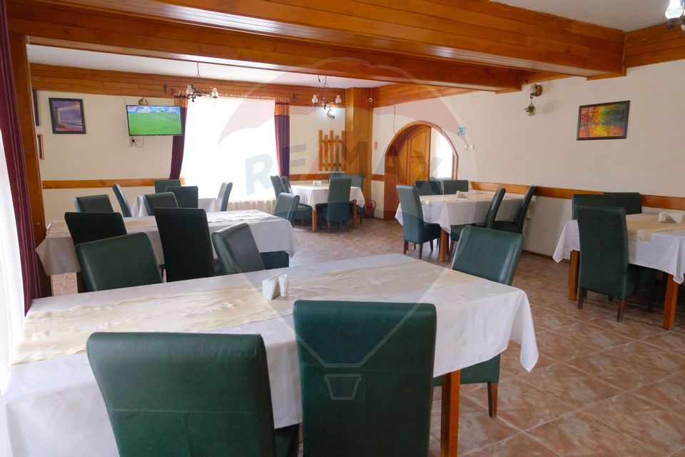 14 room Hotel / Pension for rent, Vest area