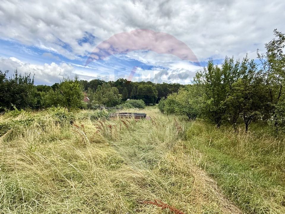 Teren 810 mp Cluj cu PUZ si HCL / Strada D.D. Rosca