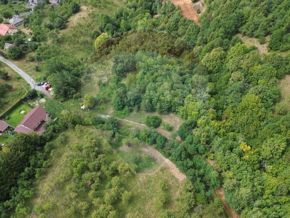 Land 1,600sqm Baia Mare / Strada Valea Cerbului