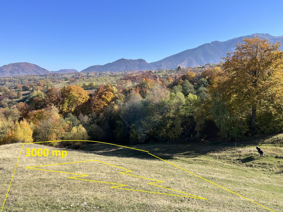 Teren valoros 3,000mp BRAN/Utilitati/Pensiune/Priveliste panoramica