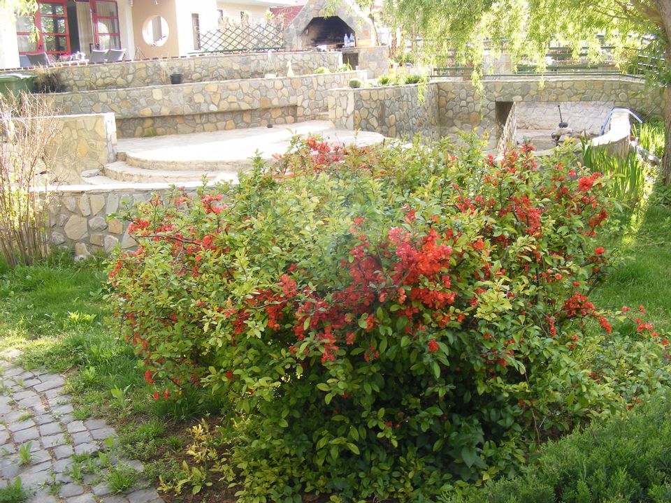 7 room House / Villa for sale