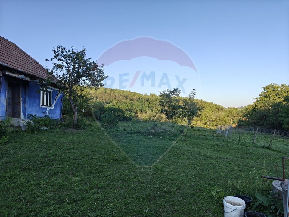 5.000 mp intravilan în Răscruci – aproape de Cluj și Parcul Industrial