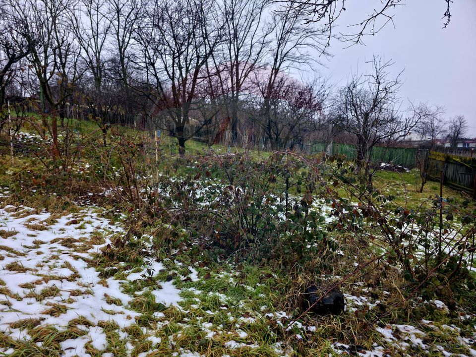 Land 4,516sqm Doina / Strada PRINCIPALA