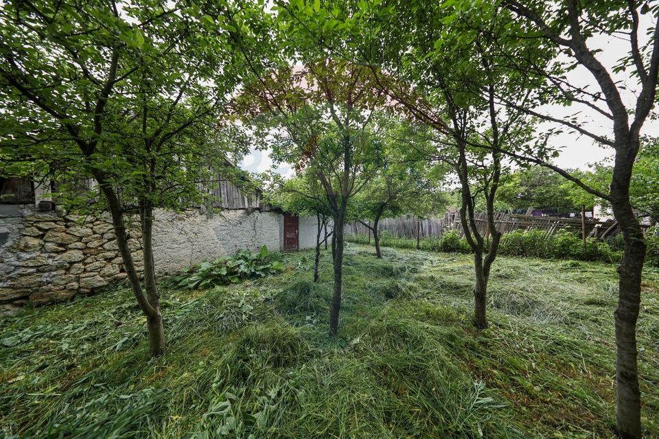 Casă de vacanta, cu annexe si pomi fructiferi, Ungra!