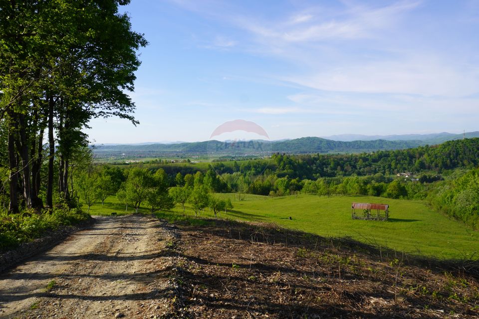 Land 15,000sqm Sighetu Marmatiei / Strada Mocăniței