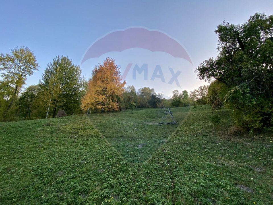 Land plot for sale Prahova -Secaria-Baiului Mountains