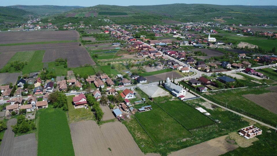 Teren de vanzare 8.700 mp în Livada comuna Iclod