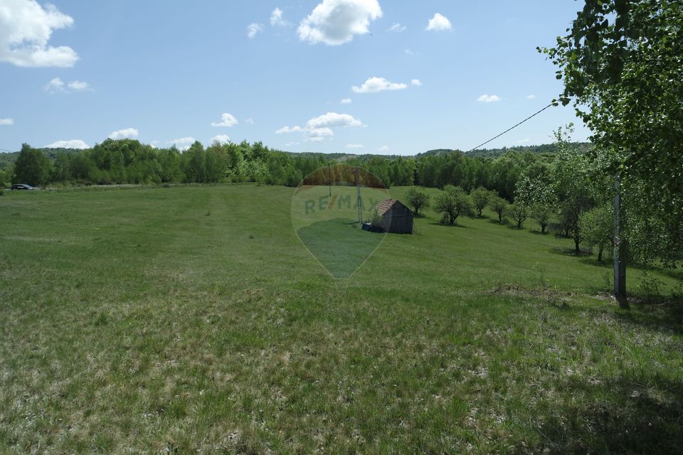 TEREN DE VÂNZARE ÎN PRELUCA NOUA