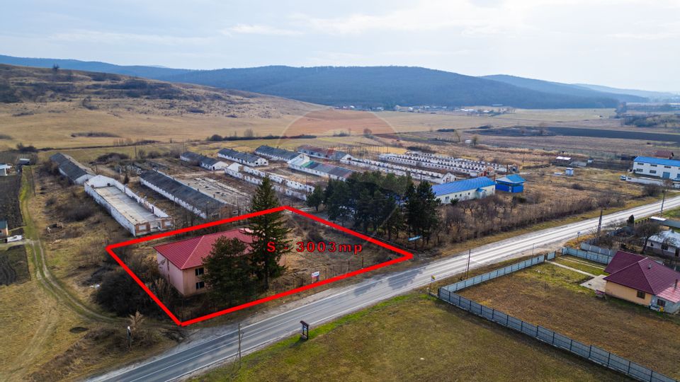 Apartamente, sediu de firma, spatii comerciale, in Com. Traian/Bacău