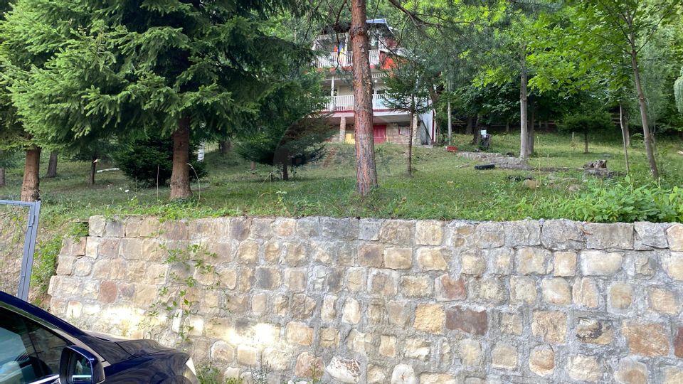 Teren extravilan de vanzare 1,019mp Lepsa Vrancea