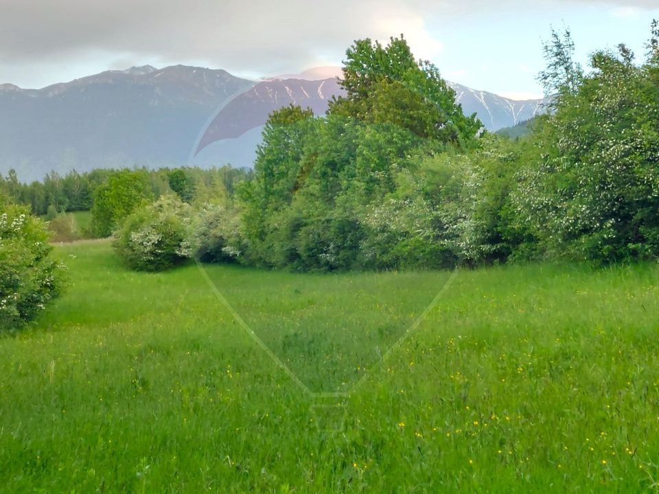 Land 4,223sqm Zarnesti / Strada Tohanita