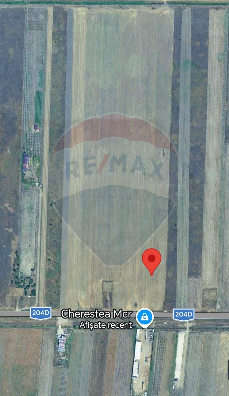 Teren 10,000mp Focsani / DJ 204D