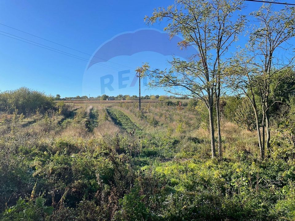 Teren 2.341 mp Uileacu de Munte front 25 ml la drum asfaltat