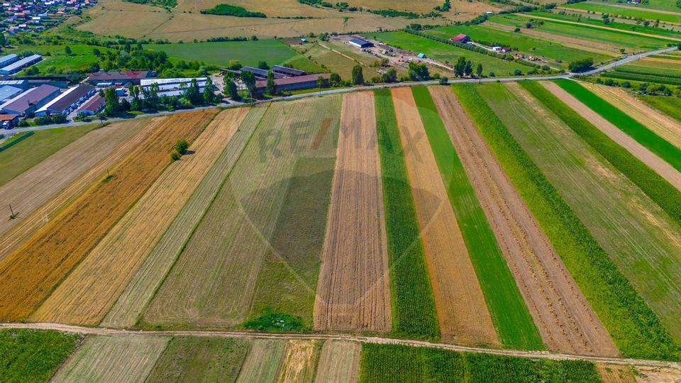 TEREN extravilan- 6 E/MP- CU PLANTATIE DE TRANDAFIRI! Teliu 7000mp