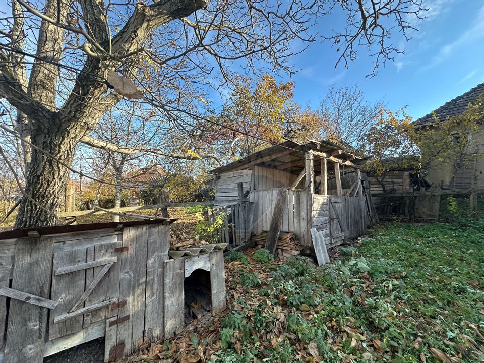 GOSPODARIE - liniste - natura - DE VANZARE