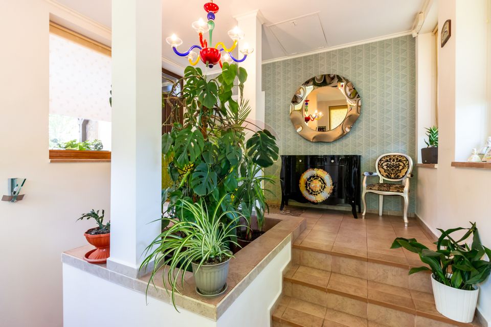 Vilă + casă de oaspeți + casă angajați | 12 camere | 530mp | Mogoșoaia