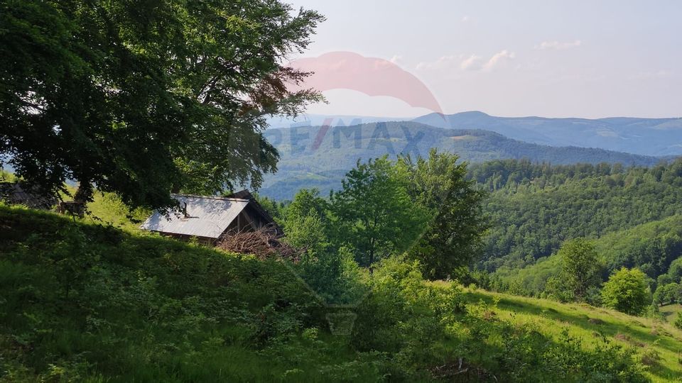 Teren 130000 mp extravilan Munteni - Bulz, Negreni