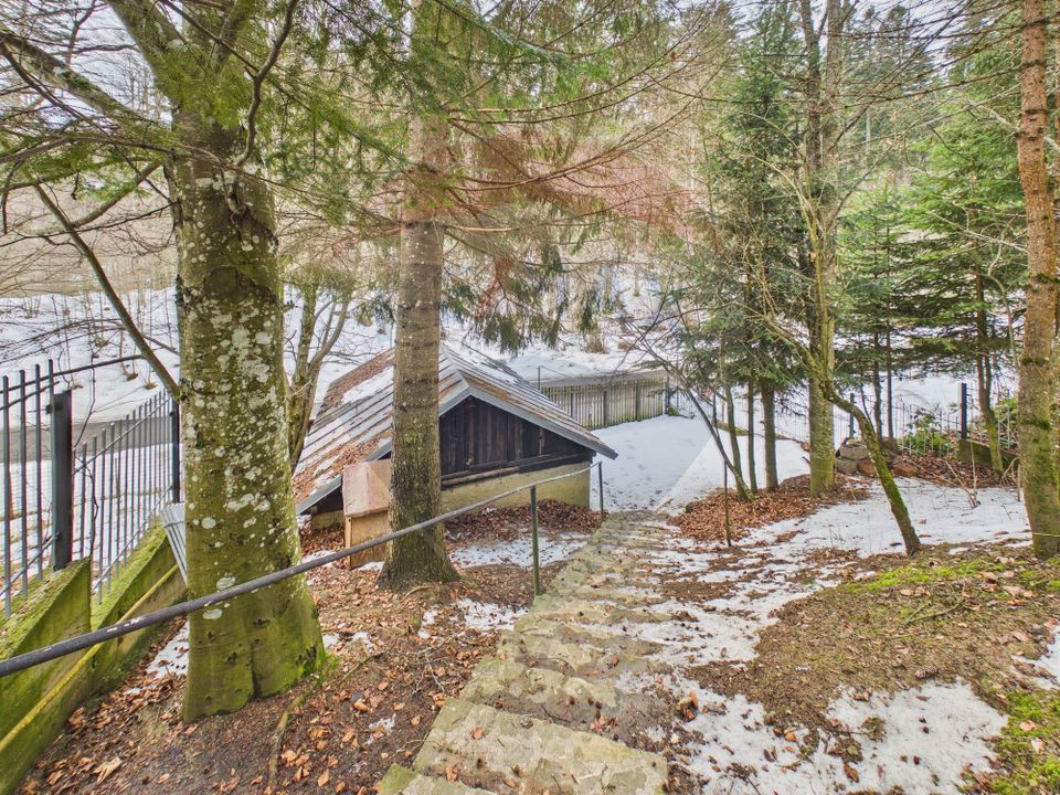 6 room House / Villa for sale, Cioplea area