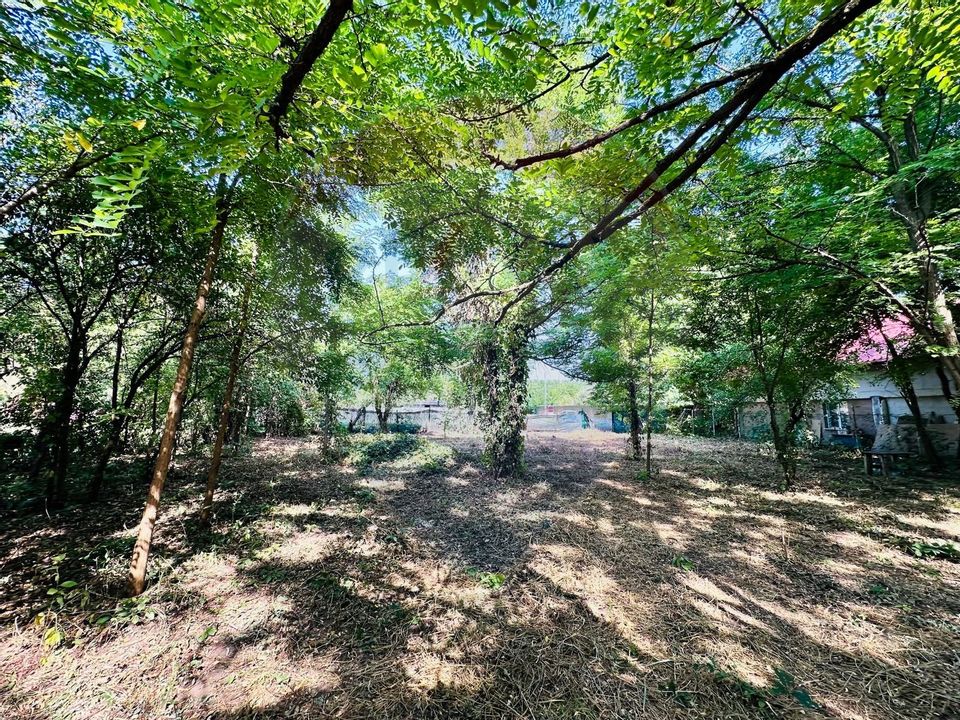 Land 1,500sqm Livedea / Strada Plopilor