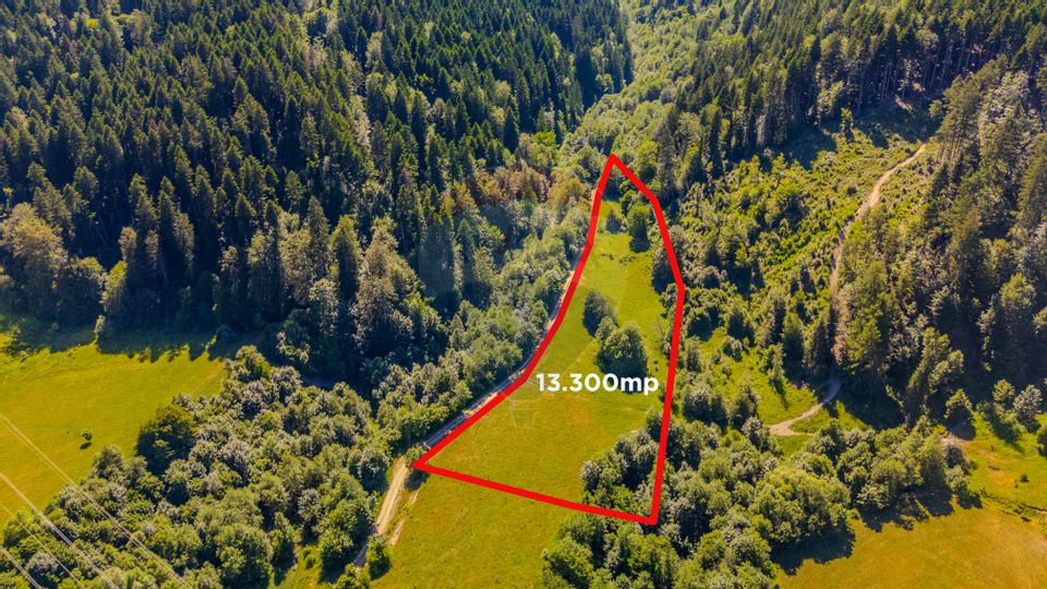Land 13,300sqm Sacele / Soseaua Valea Doftanei