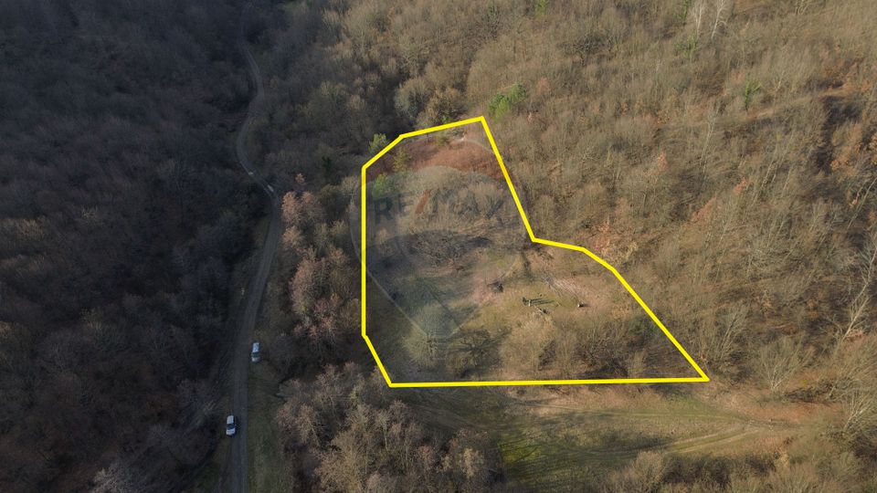 Poiană pentru cabana de vanzare intravilan Coas