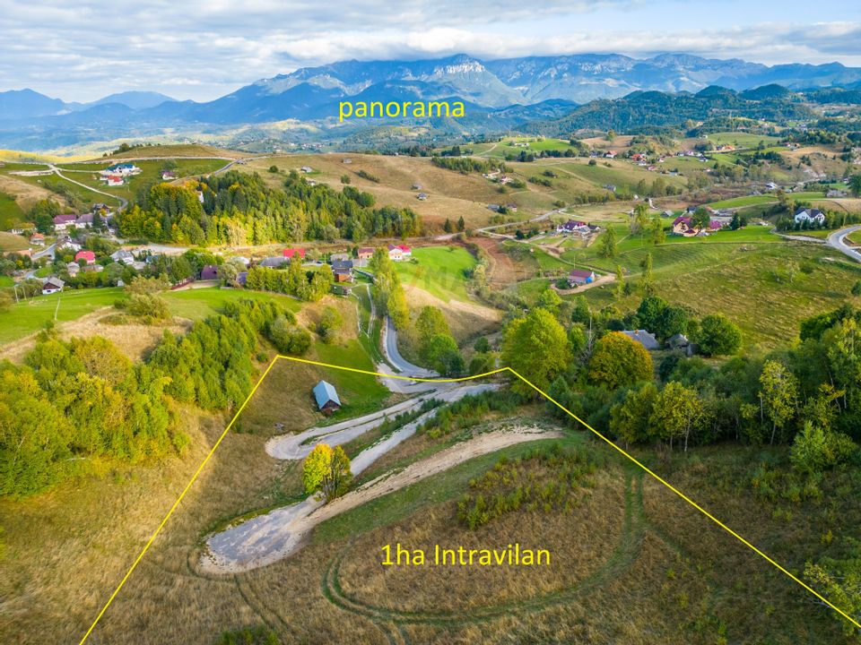 Land 10,000sqm Sirnea / Strada Principala