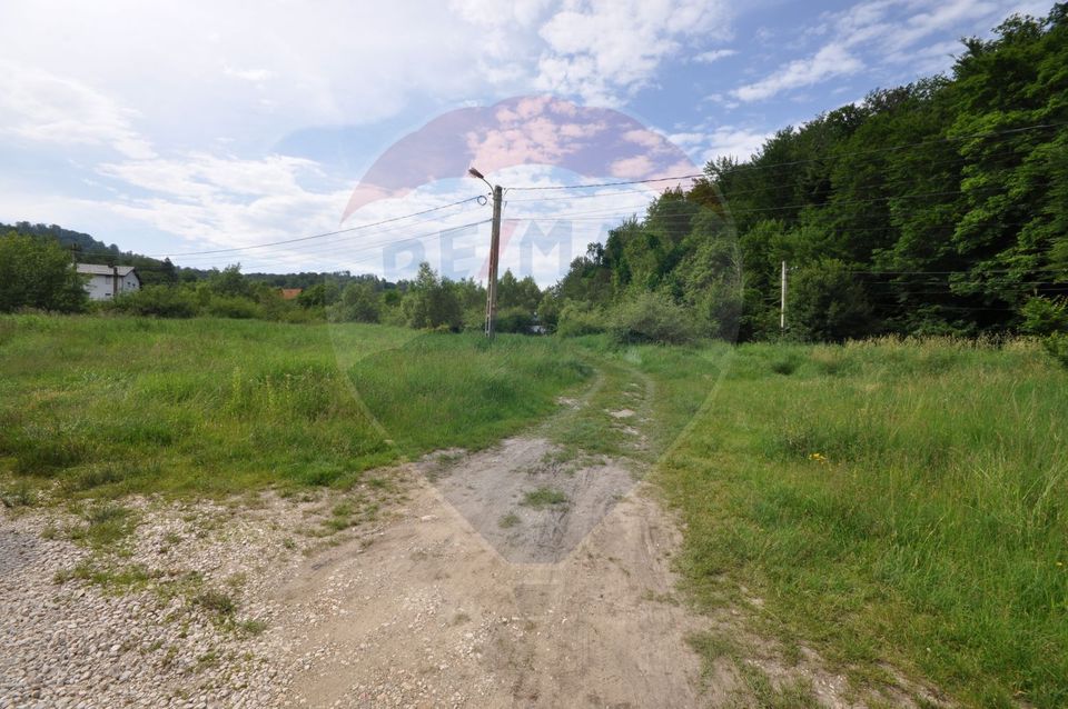 Teren Brasov - Noua, la marginea padurii