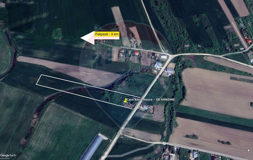 Casă / Vilă cu 3 camere de vânzare in Filipesti