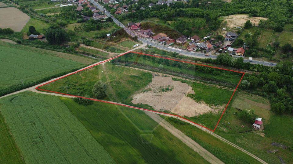 !Reducere! - Teren de vanzare - 1,45ha Sabisa/Front 81M