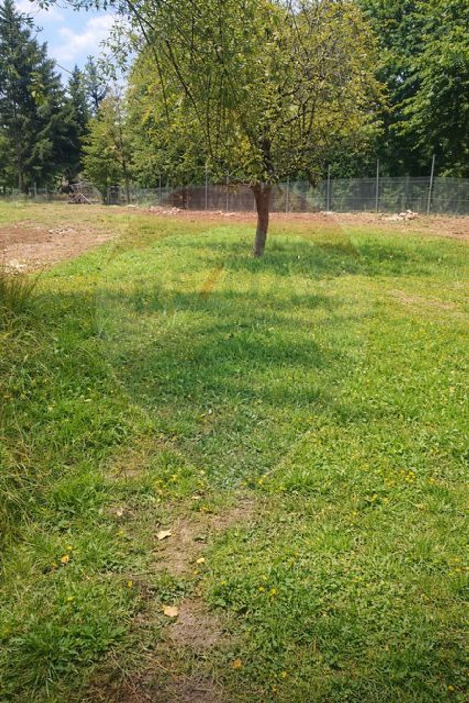 2 room House / Villa for sale