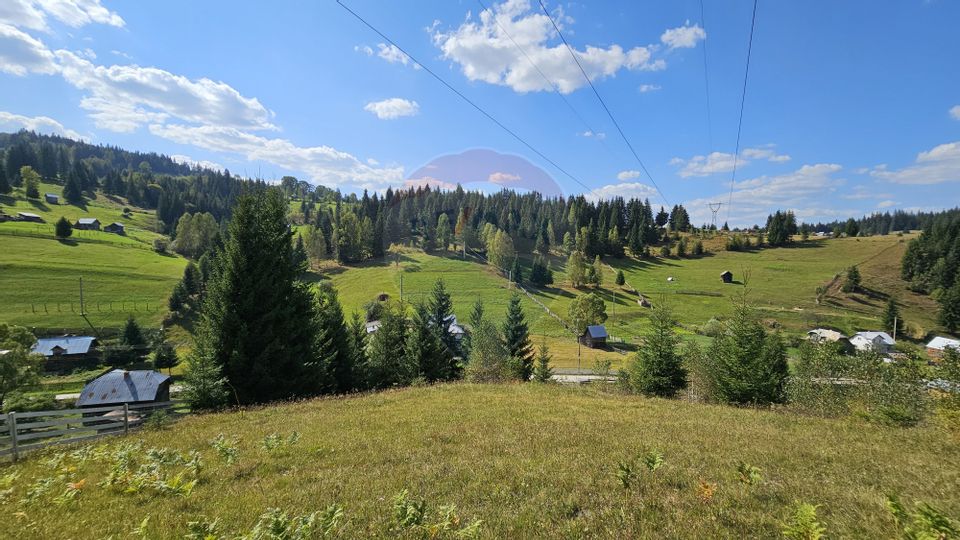 Casă / Vilă de vacanta in Dorna Arini, Suceava