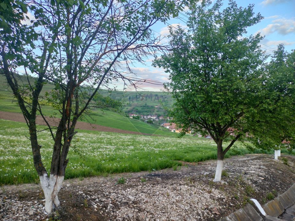 Teren intravilan în Târnăveni!