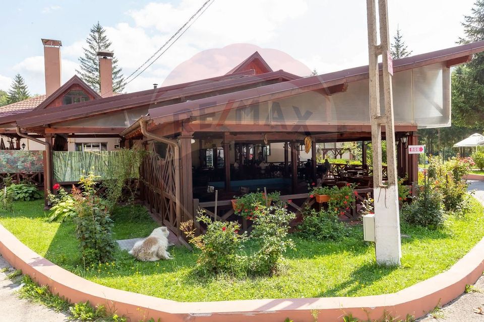 Oportunitate rară in România! Complex turistic Poiana Sărată si pădure