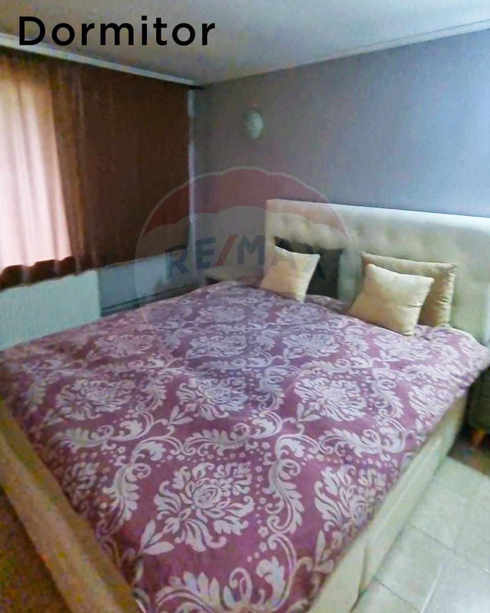 4 room House / Villa for sale, Valea Borcutului area