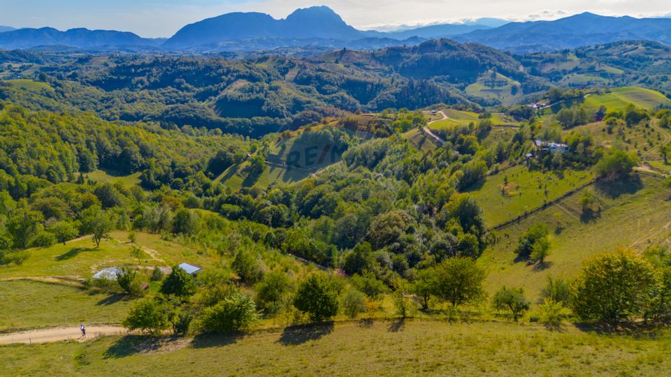 Teren extravilan 6,014mp | Holbav | BRASOV | COMISION 0|