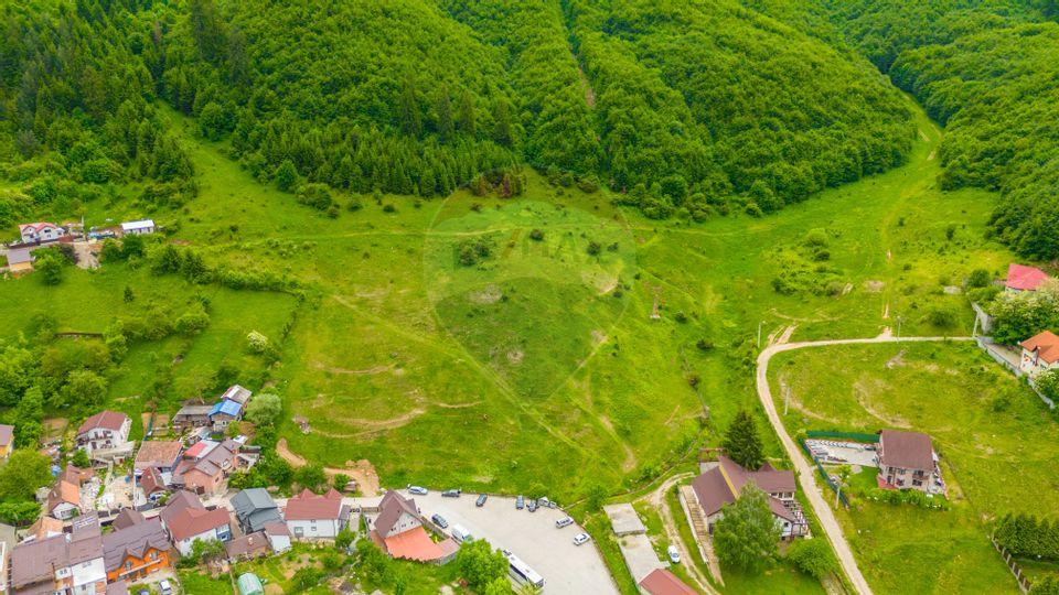 COMISION 0% Teren de 8529 mp/Bunloc/Intravilan