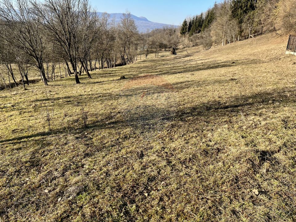 Teren 6,699mp Breb / Prelungirea x
