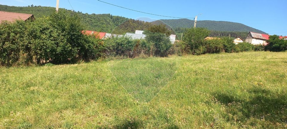 Land 1,500sqm Codlea / Strada Scheilor