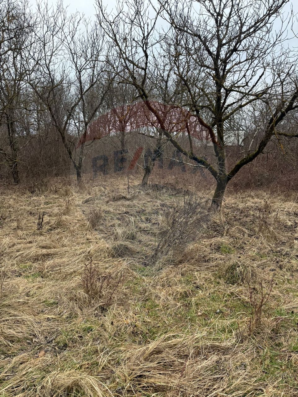 DE VANZARE Teren Strada Victoriei Baia Mare
