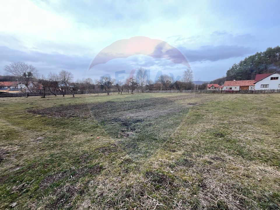 Teren INTRAVILAN 8,237mp Sinca Noua / Strada principala