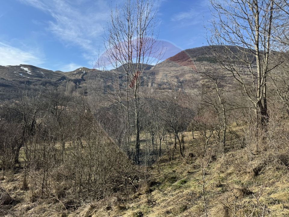 2 room House / Villa for sale