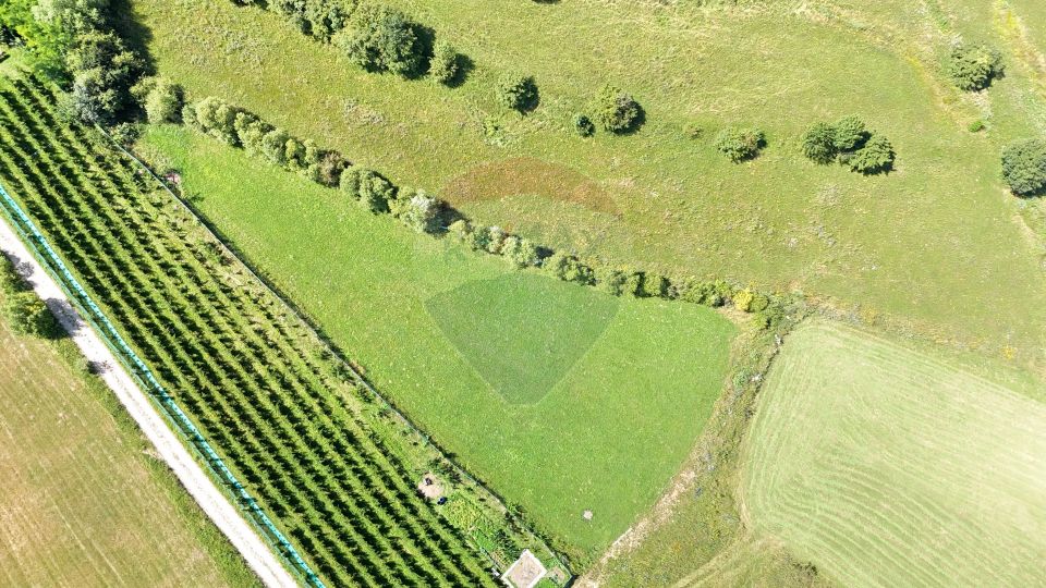 Land 2,432sqm Zarnesti / Strada fara nume