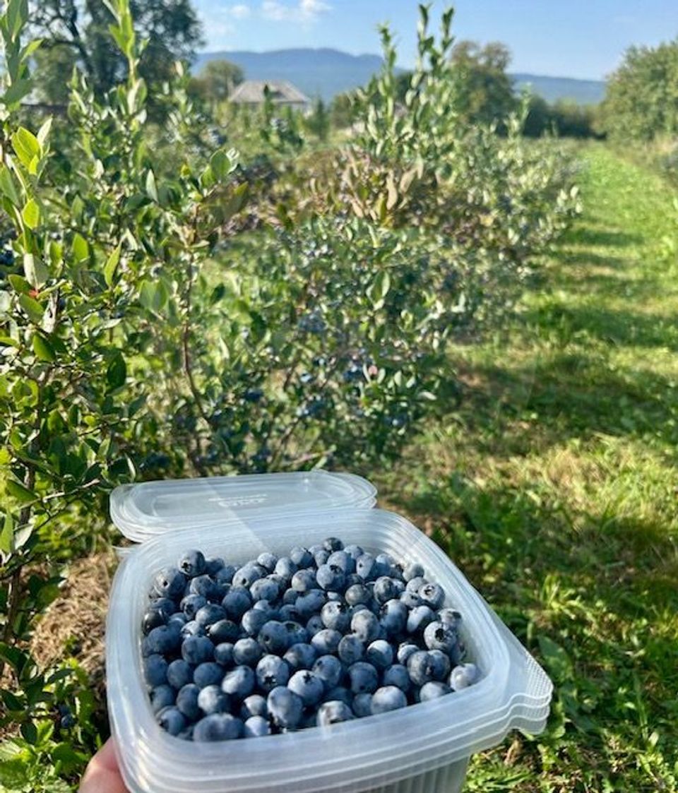 Land 6,900sqm Breb / Drumul dupa sat