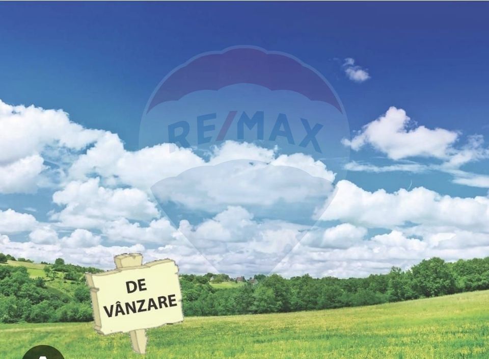 Pasune 21 ha pretabila pentru panouri fotovoltaice,impadurit