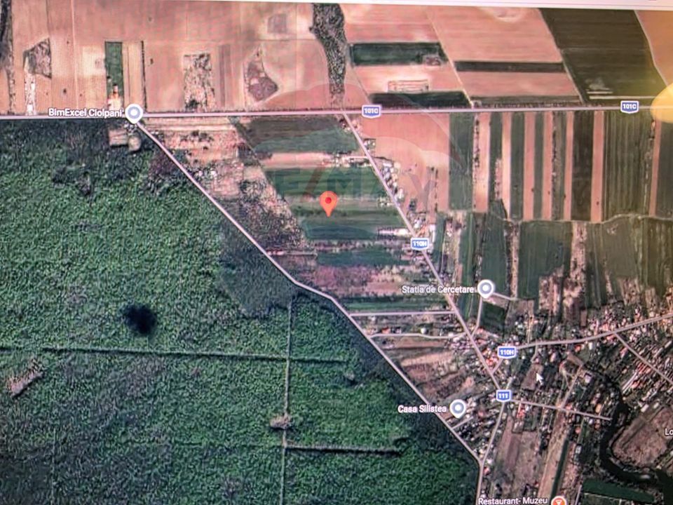 Teren 704 mp Silistea Snagovului vecinatate Padurea Snagov