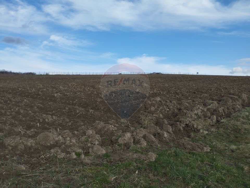 Teren Bodesti / Strada OSLOBENI LANGA MANASTIREA DUMBRAVELE