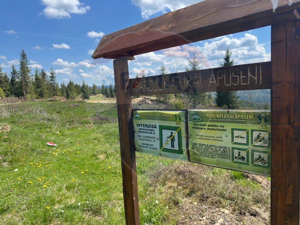 Land 8,572sqm Balcesti (Belis) / Strada Principala