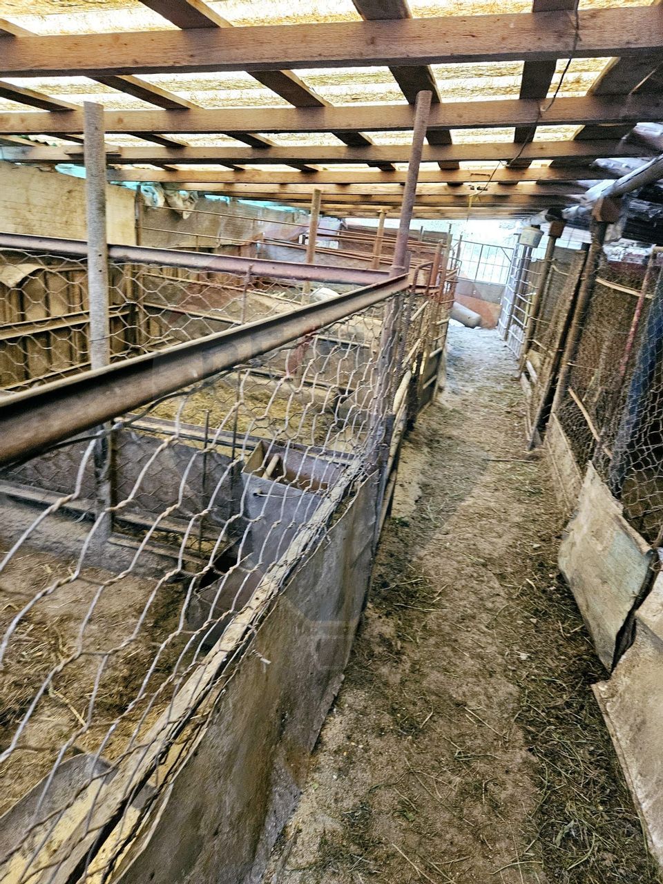 Casă / Vilă cu 5 camere de vânzare