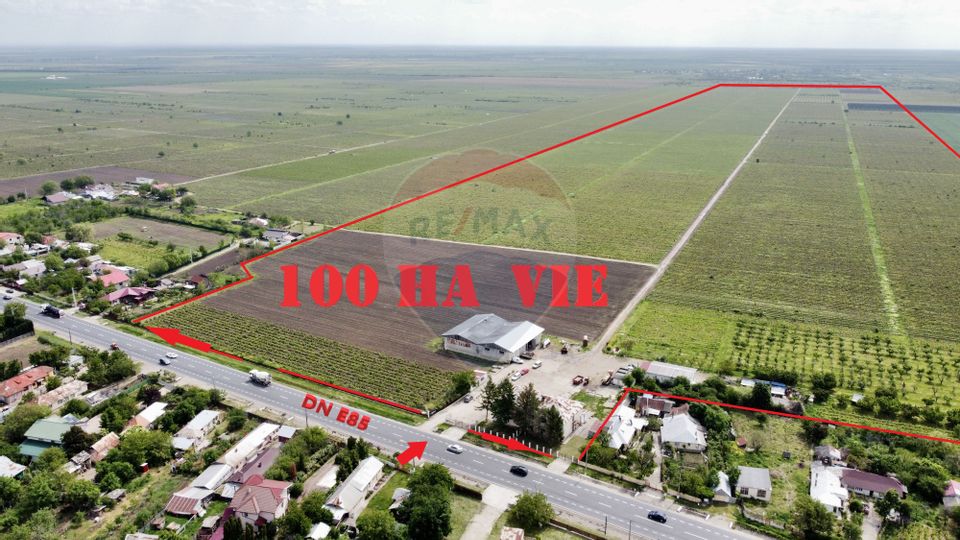 Teren vie 100 hectare la DN E85